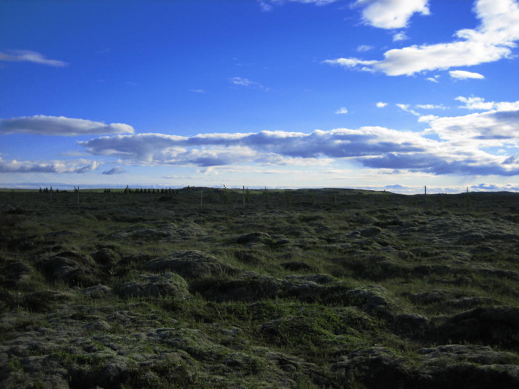 Icelandic Cottages Hraunmork Екстер'єр фото